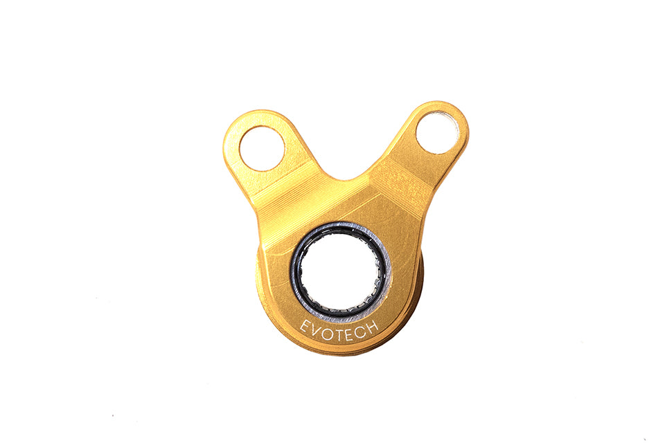 SUPPORTO PERNO CAMBIO CON CUSCINETTO TRIUMPH SPEED TRIPLE 1200 RS